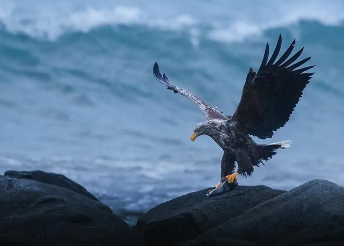 In Lofoten With Spectacular View Ballstad