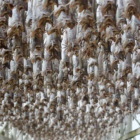 Сasa de vacaciones In Lofoten With Spectacular View