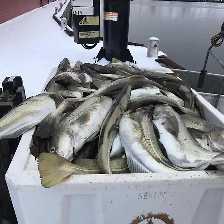 In Lofoten With Spectacular View Сasa de vacaciones *