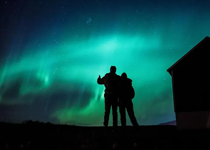 Casa vacanze In Lofoten With Spectacular View